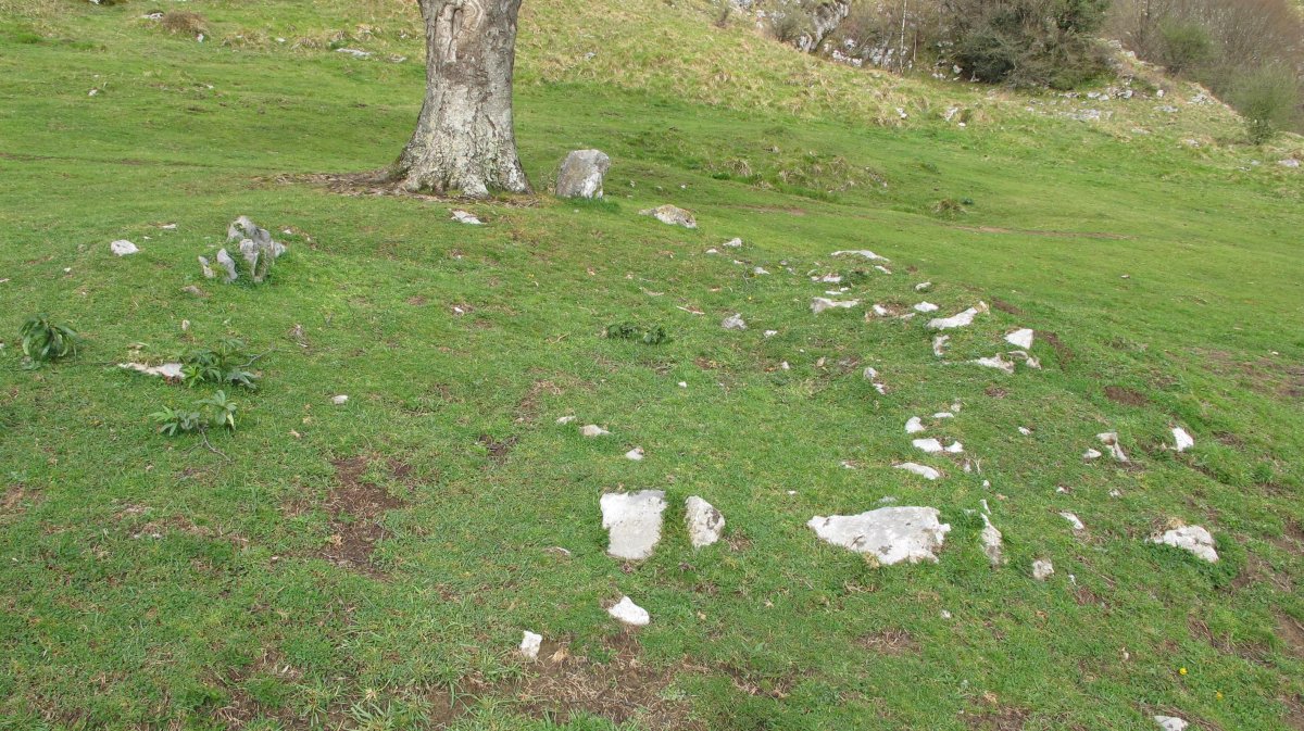 Zaingo Ordeka trikuharria