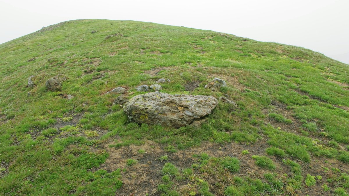 Artheko Tontorra harrespila