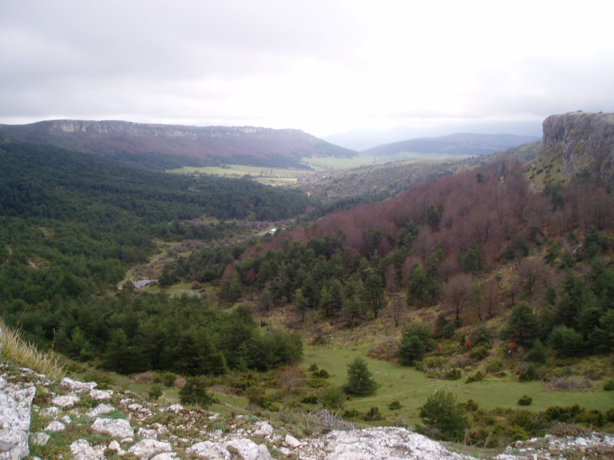 Valderejo Barredon atakatik
