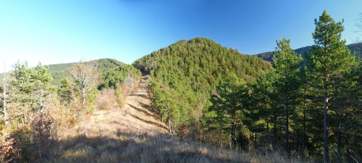 Oianmugatik Monterrirantz