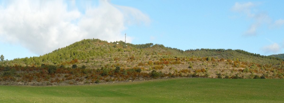 Axarimendia Meozko bidetik