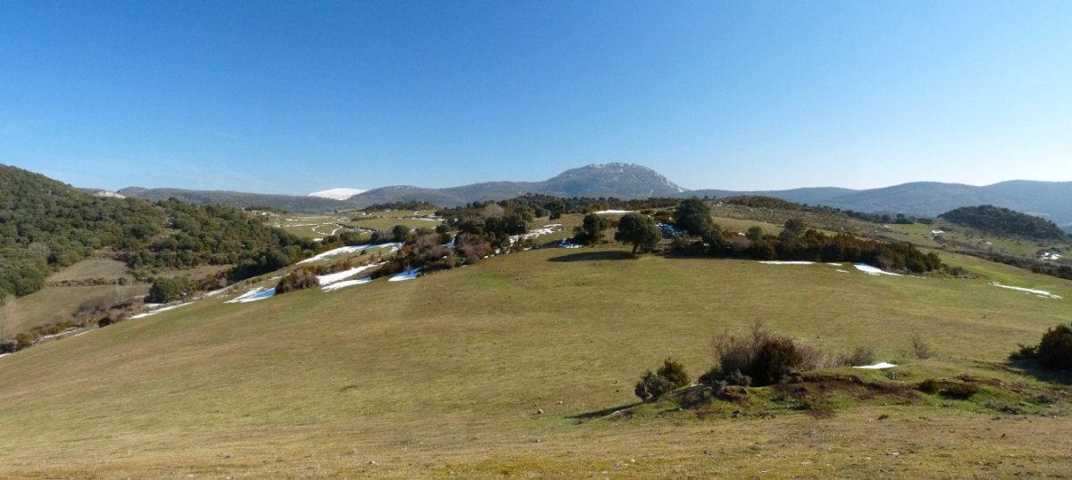 Izmendia inguruko larreak