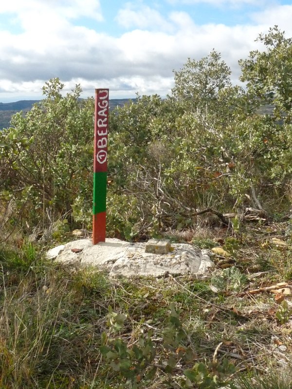 Beraguko gailurreko buzoia