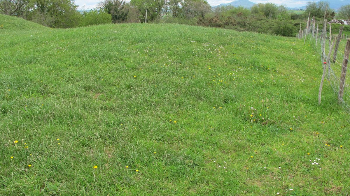 Larrekogurutzea tumulua