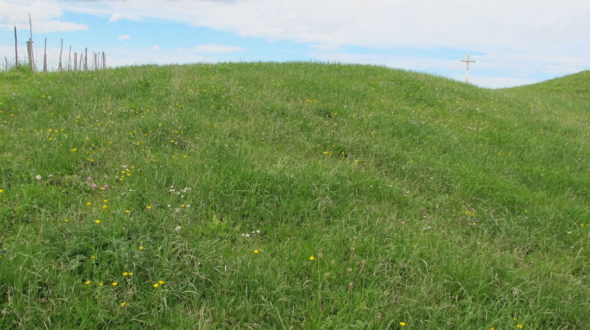 Larrekogurutzea tumulua