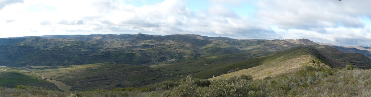 Uxue herria Zaldinagatik