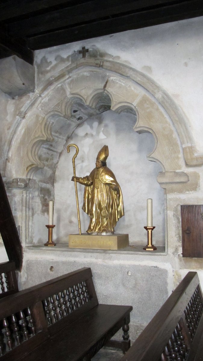 San Martin eliza Saran