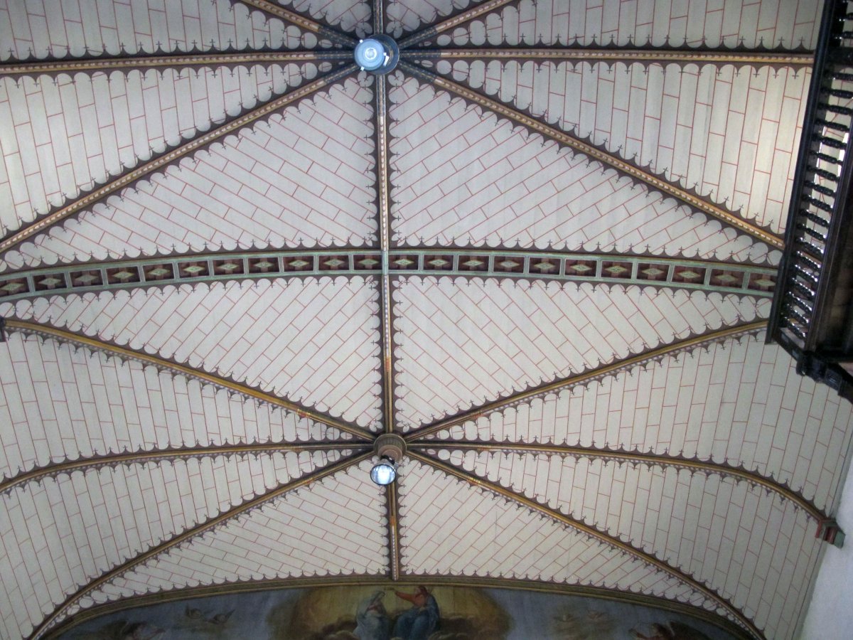 San Martin eliza Saran