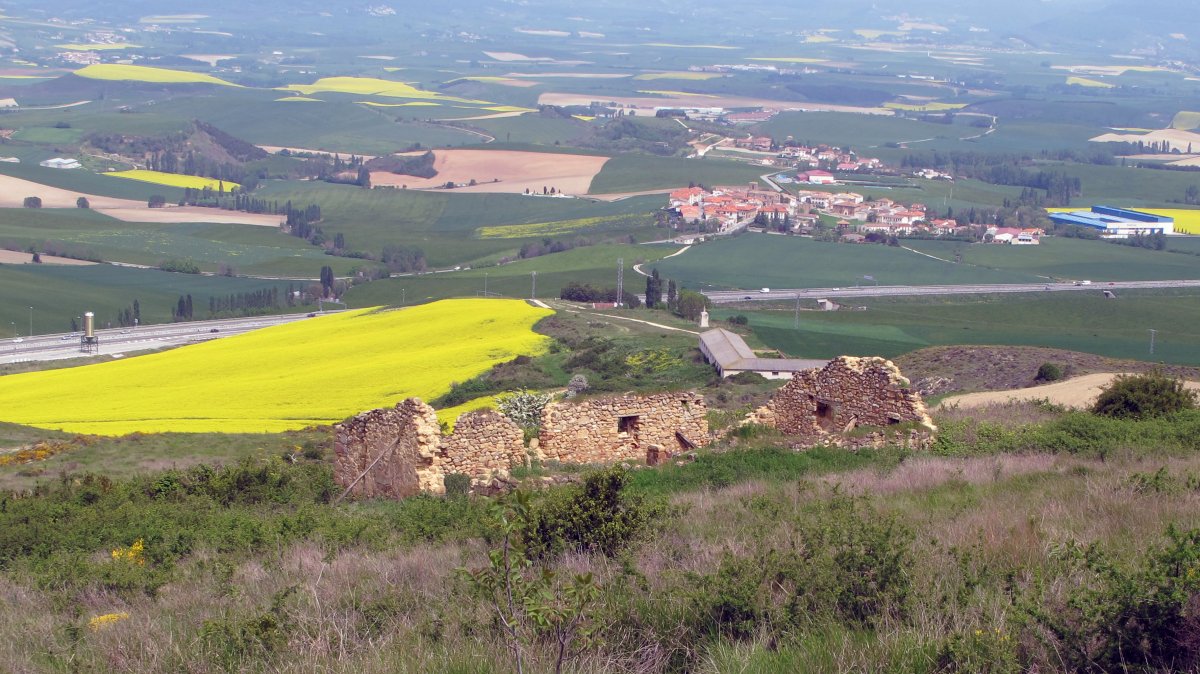 Borda del Tejedor, hondakinak