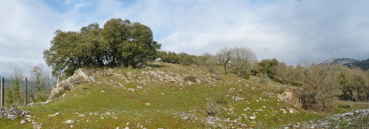 Añezkarko gainaldea