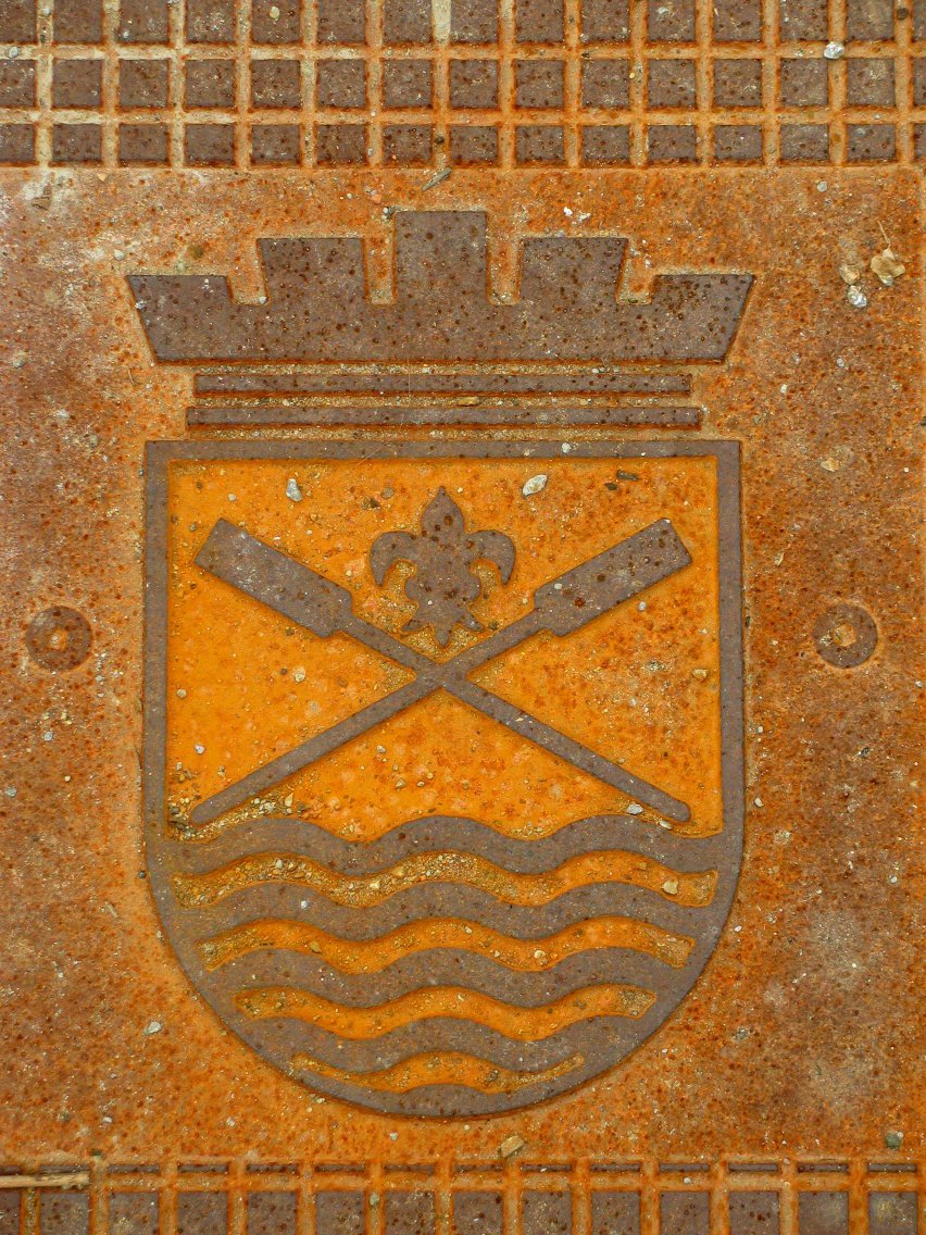 Armarria, estolderiako estalkian