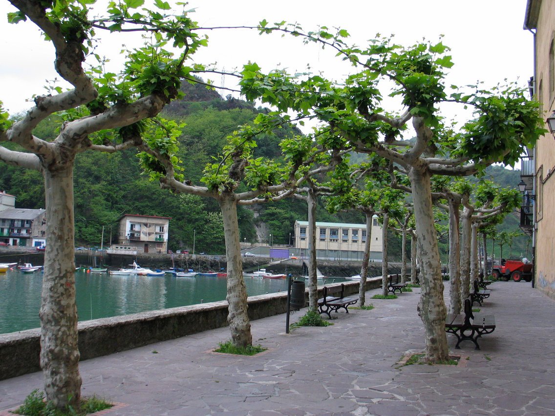 Bonantzako elizaren inguruak