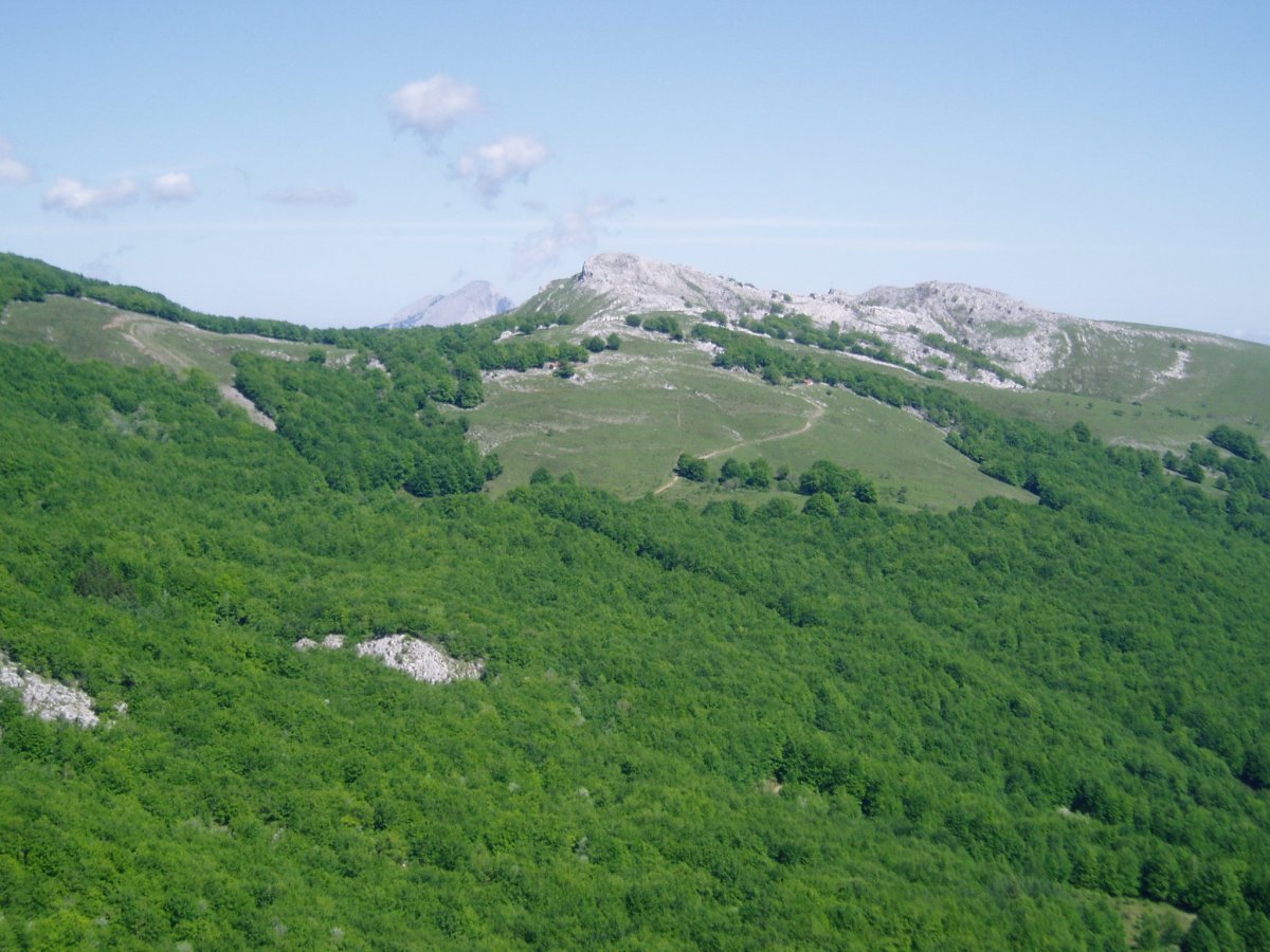 Kurutzeberri Andartotik