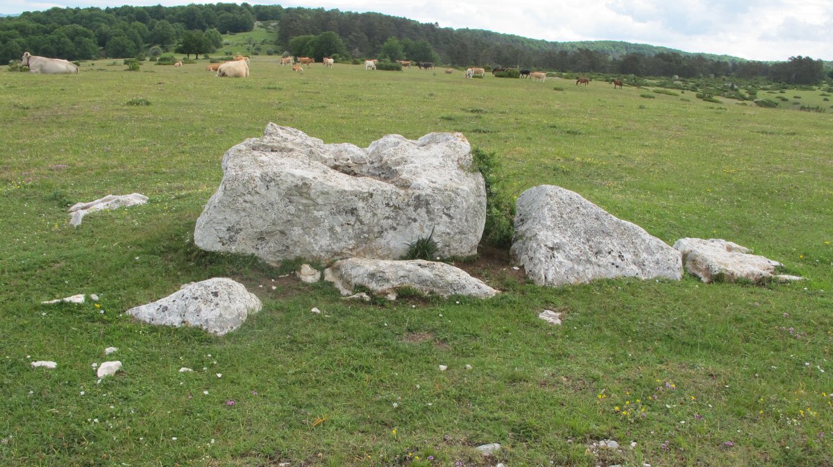 Otsaportillo 2 Hego zutarria