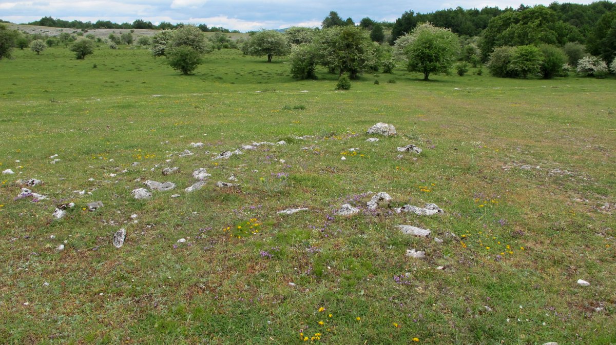 BALTSA BARDOITZA tumulua