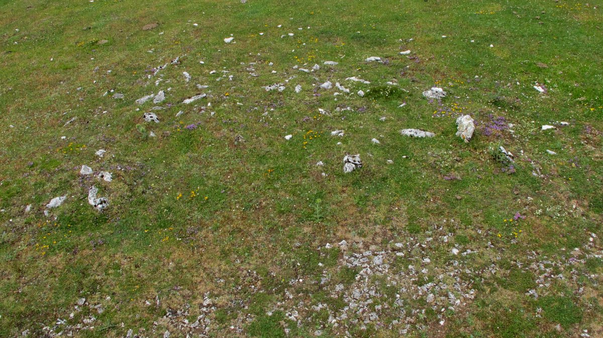 BALTSA BARDOITZA tumulua