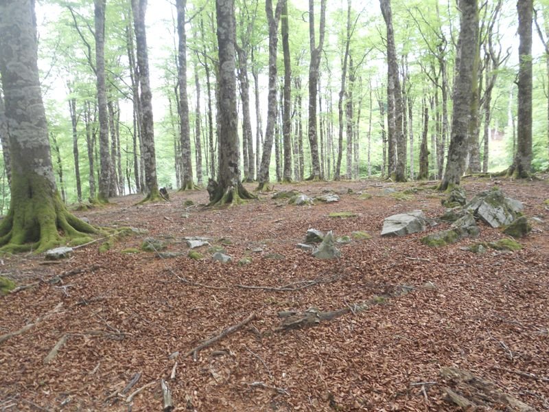 iraztei harrespil berria