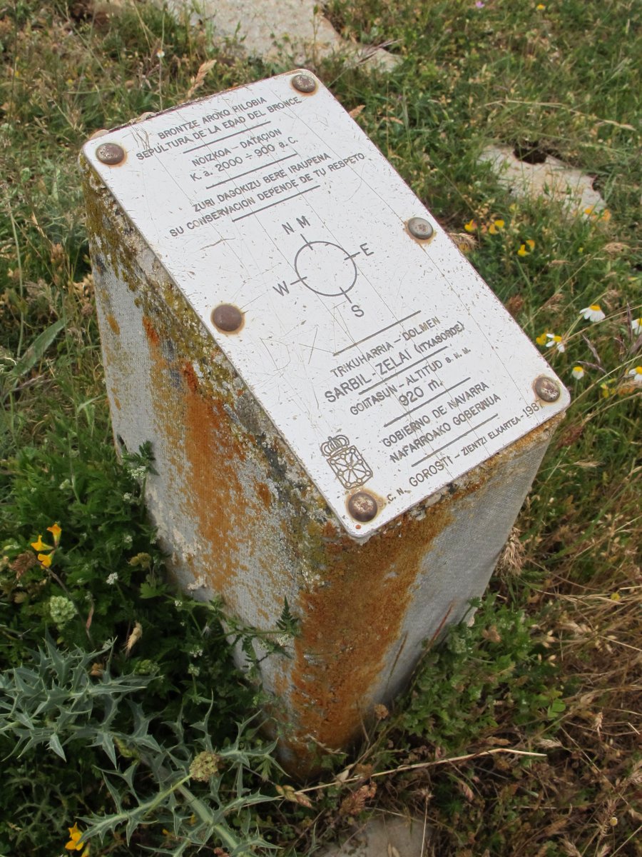 Itxasorde trikuharria