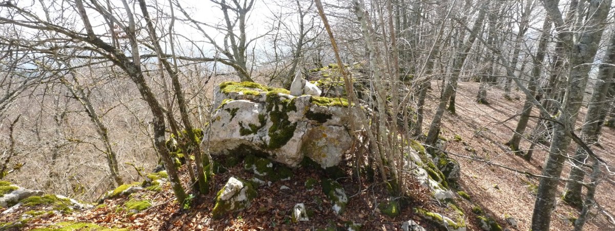 Iroxketako gailur oihantsua