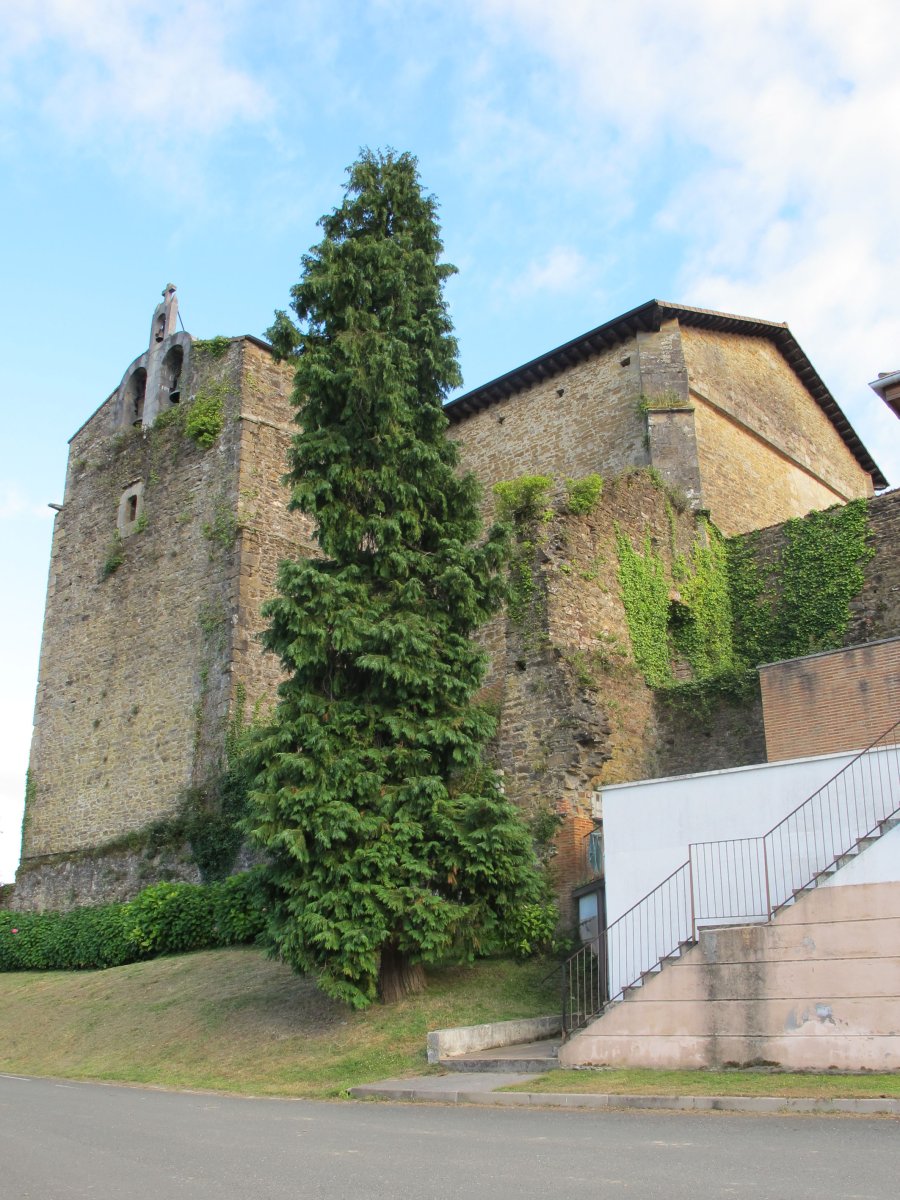 Ziortzako Andra Maria Kolegiata