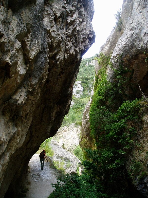 Puron errekaren arroila