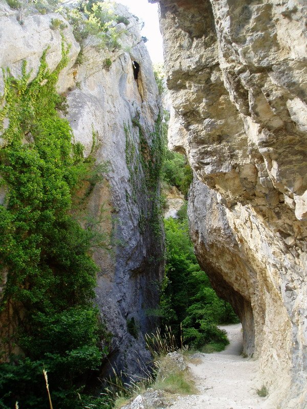 Puron errekaren arroila