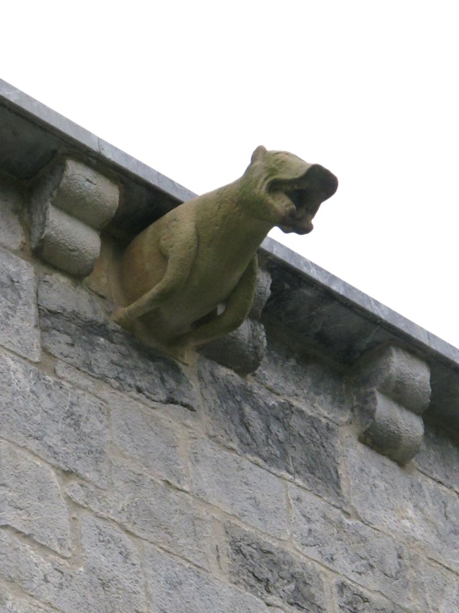 Lili jauregia, Zestoa