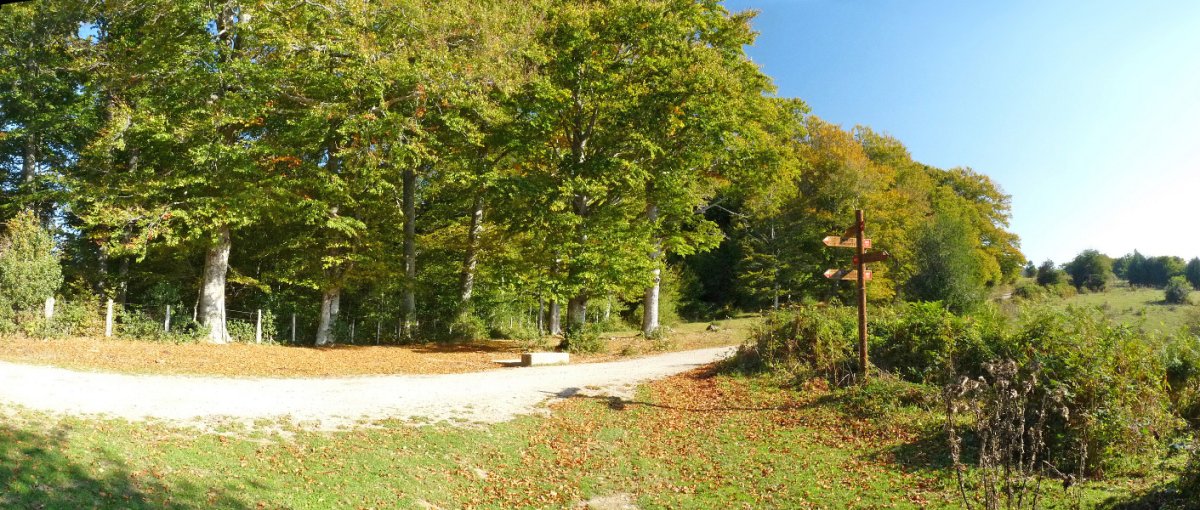 Pista Nabalako lepoan