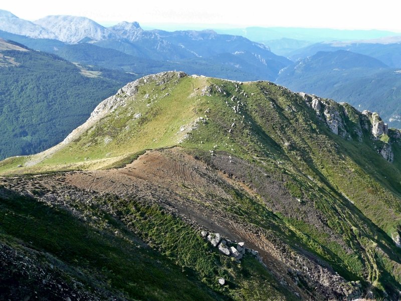 Erpin Geodesikodun Tontorra