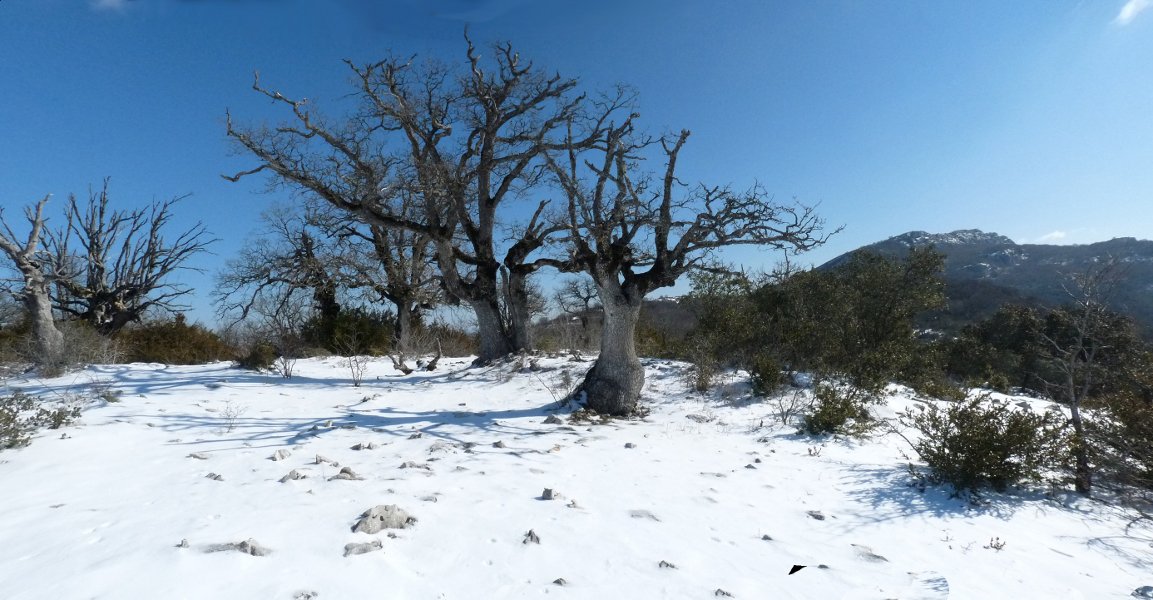 Obiarriko tumulua, toki paregabean