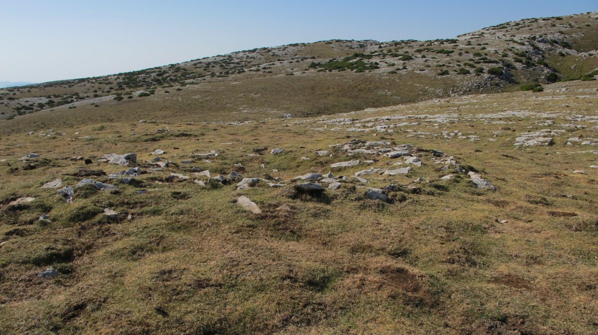 El Brinkulo txabola tumularra, Andia