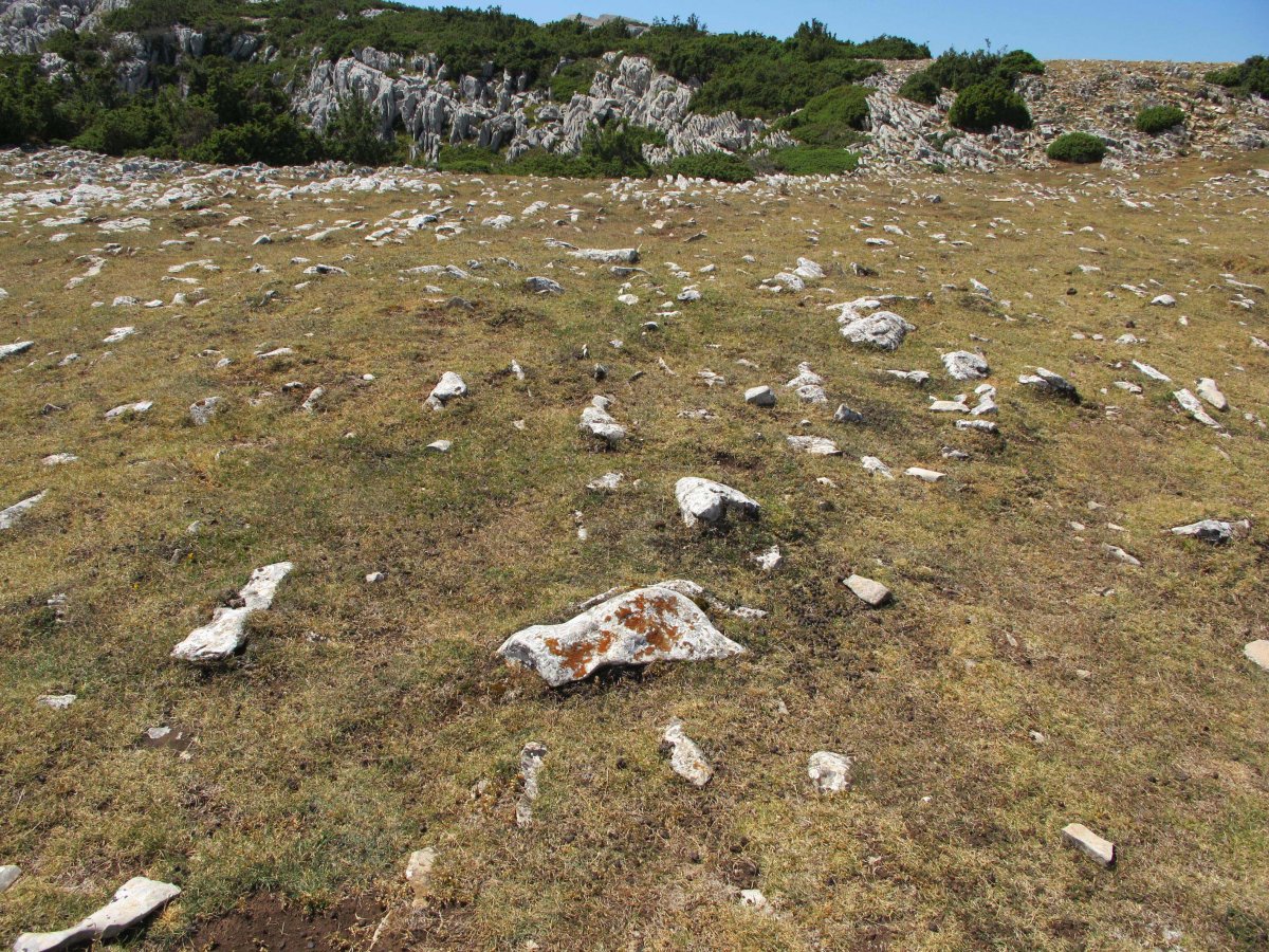 Irunsarioko Bidea 1 hego, Andia