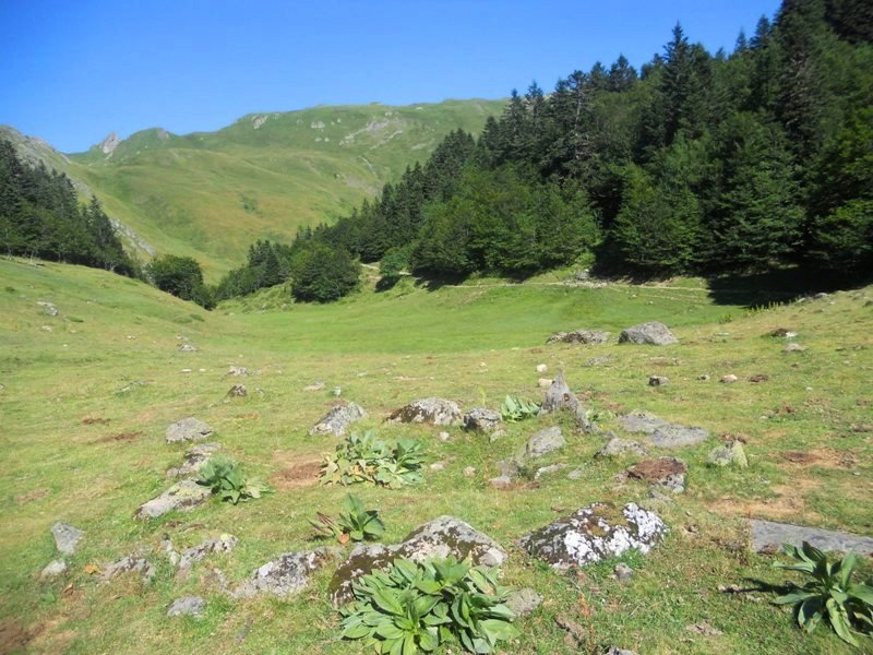 Col Long de Magnabaigt