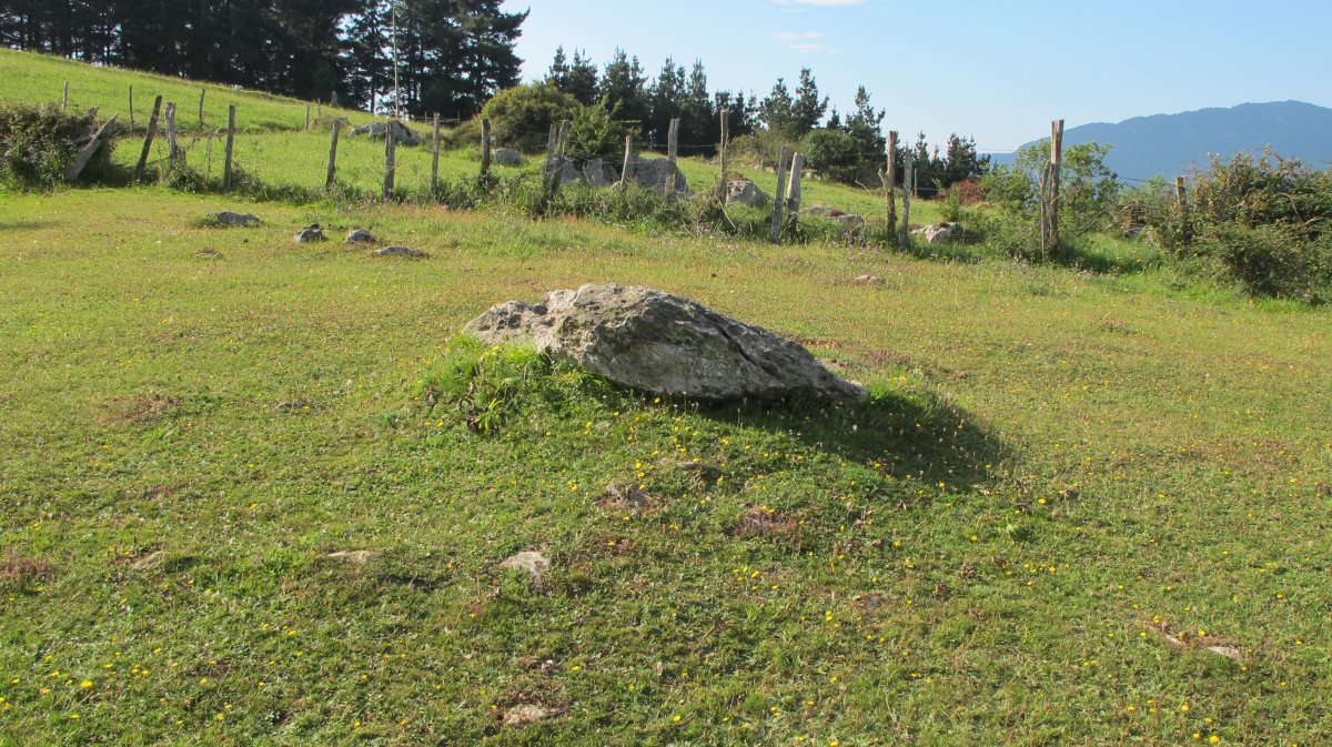 Palankaleku trikuharria, Asteasu