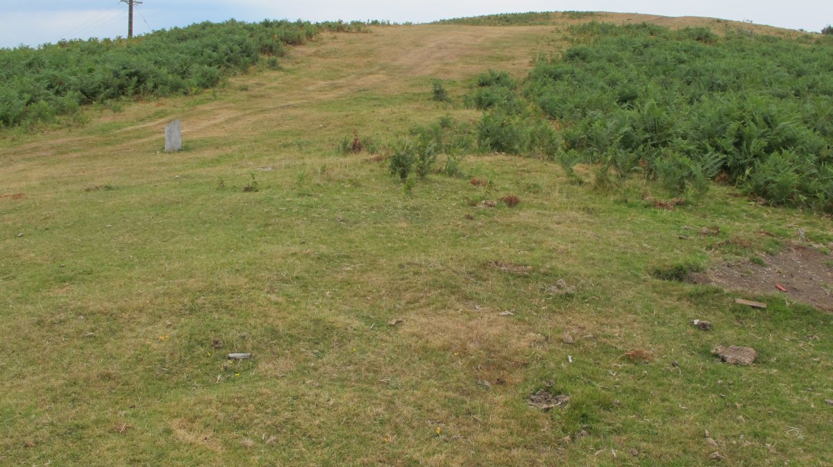 Zaria I harrespila, Oiartzun