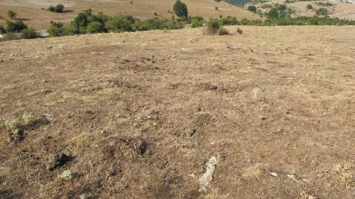 Poken Bidea 1 etxola hondoa, Andia