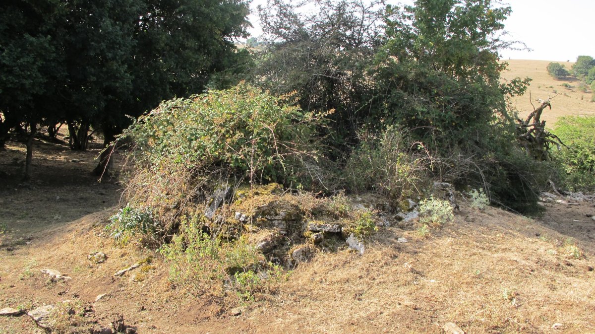 Poken txabola tumularra, Andia