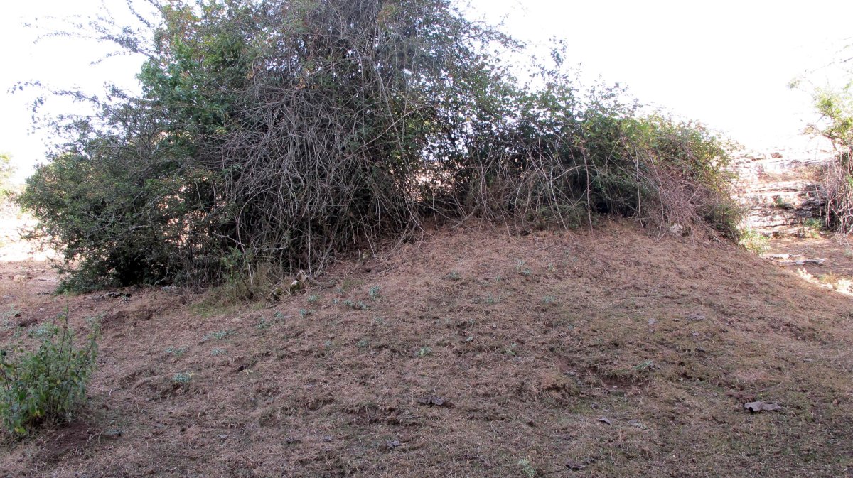 Poken txabola tumularra, Andia