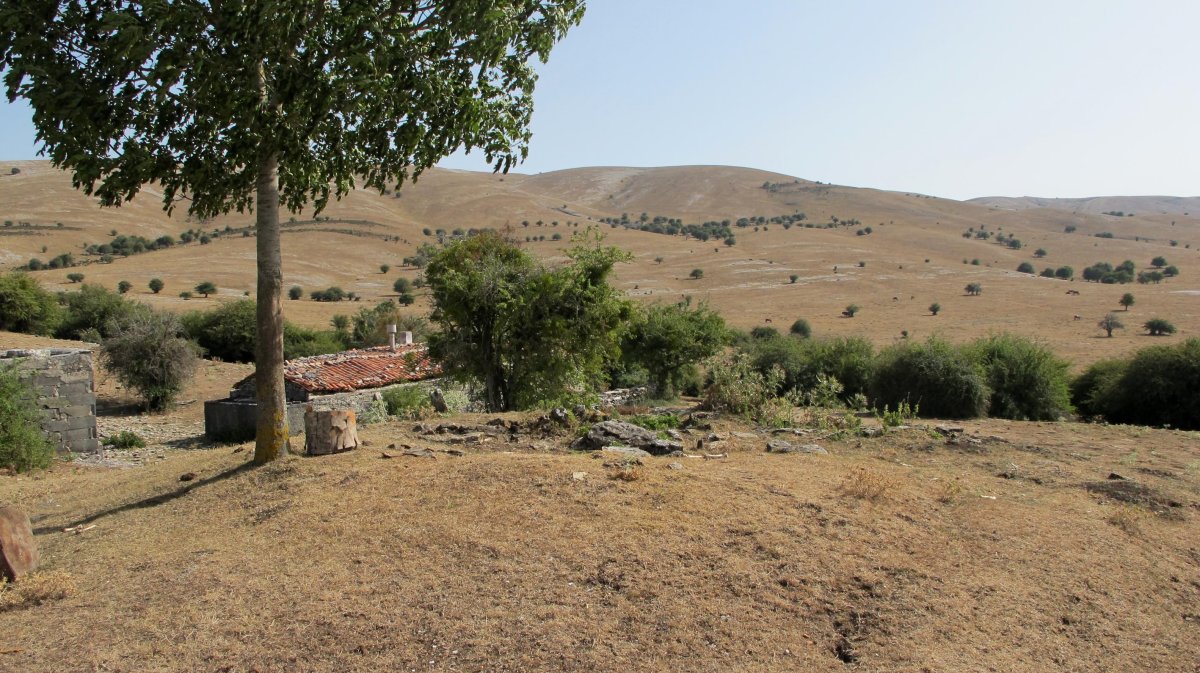 Arbeltz txabola tumularra, Andia