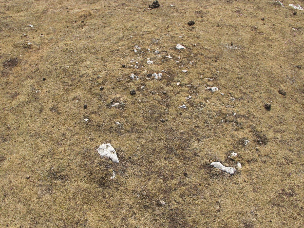 Kalabera 1 ekialde tumulua, Andia