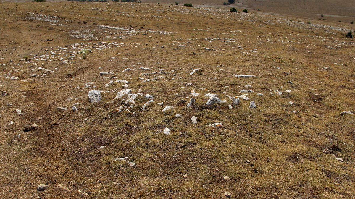 Kalabera 2 mendebalde tumulua, Andia