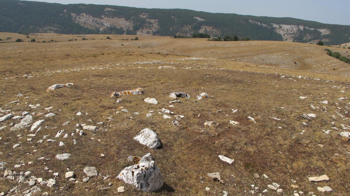 Kalabera eraztun-tumulua, Andia