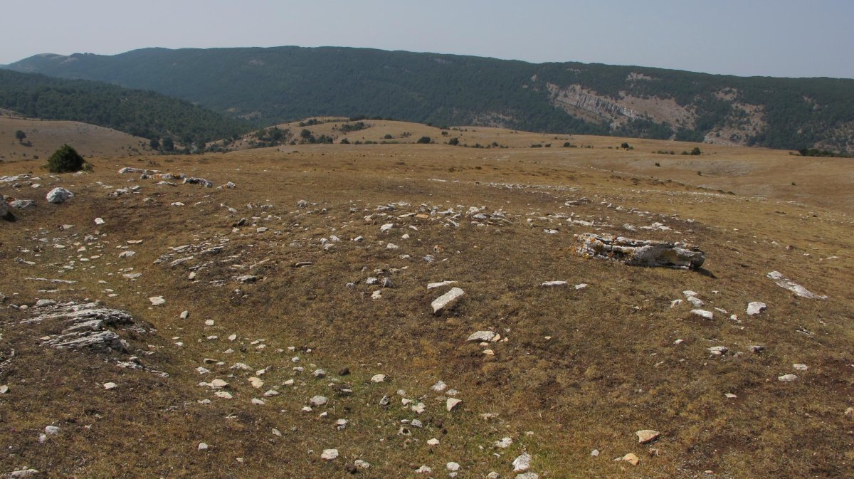 Kalabera eraztun-tumulua, Andia