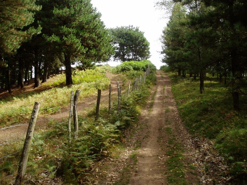 Mendebaldeko bizkarretik tontorrera iristen