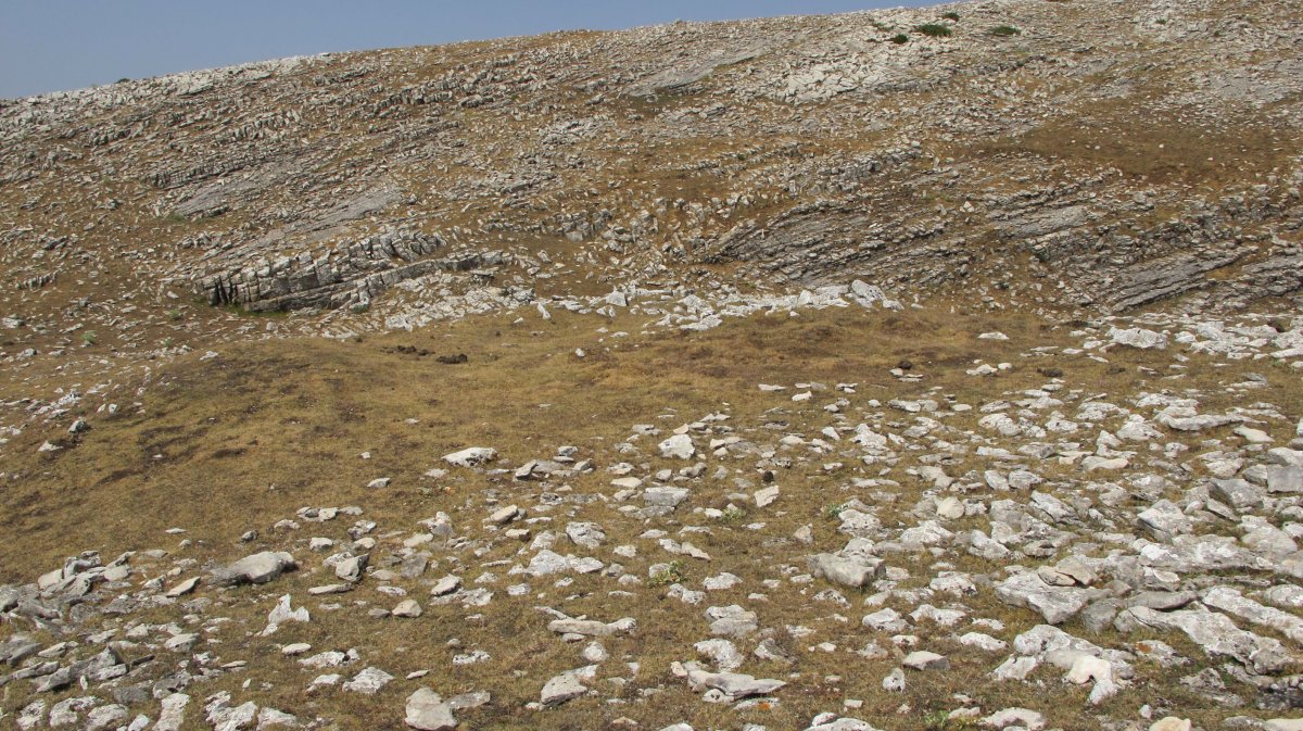 Kalabera Goitia eraztun tumulua, Andia