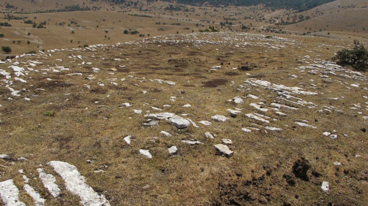 Barranco Arbeltz eraztun tumulua, Andia