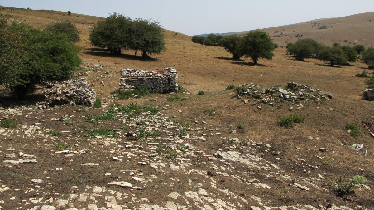 Dorrokotea txabola tumularra, Andia