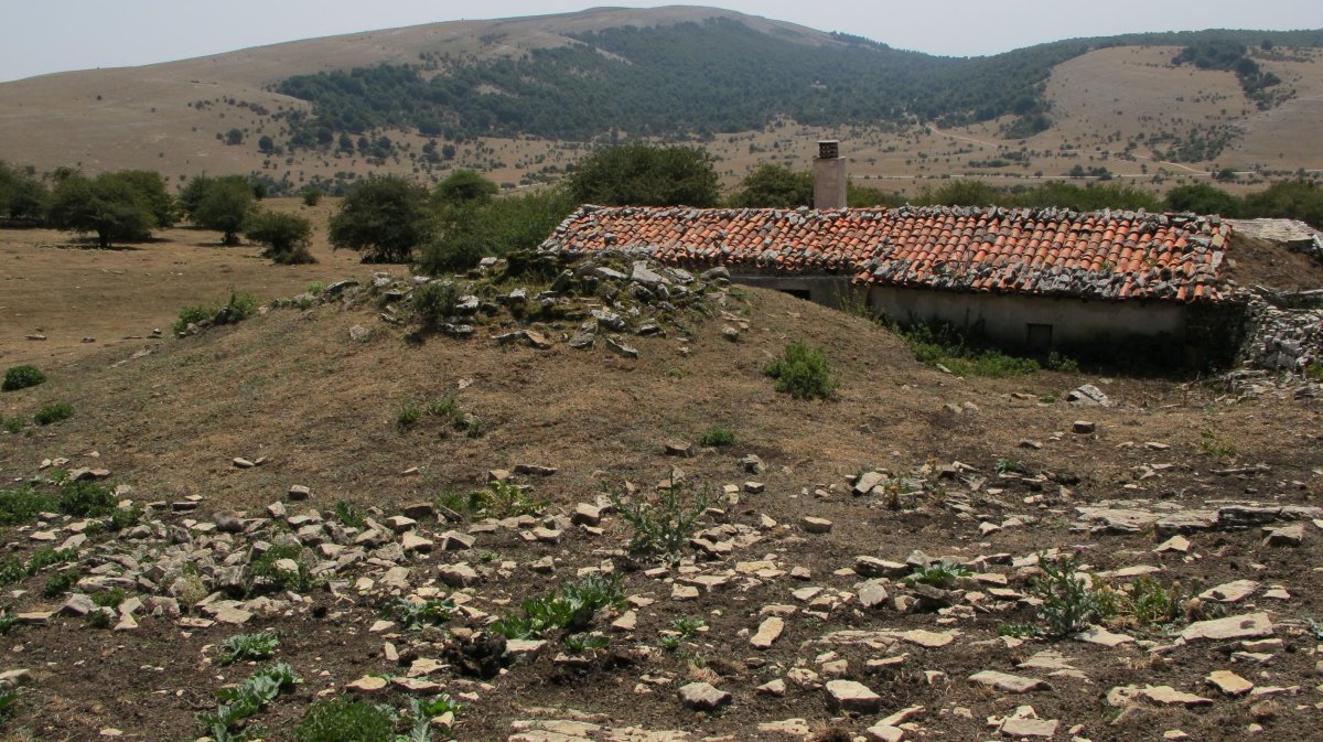 Dorrokotea txabola tumularra, Andia