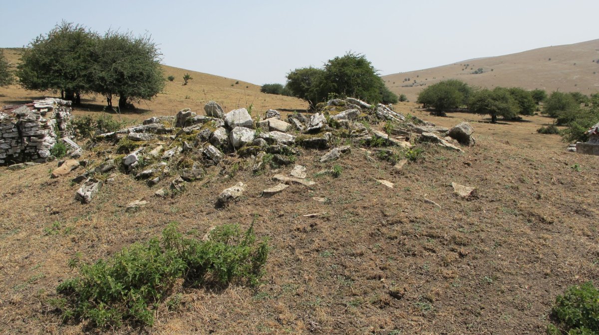 Dorrokotea txabola tumularra, Andia