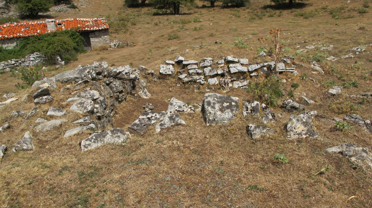 Entremedio txabola tumularra, Andia